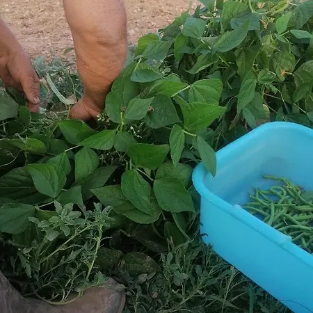 Masseria Il Sorriso Degli Ulivi - Dimora Di Charme Farm stay
