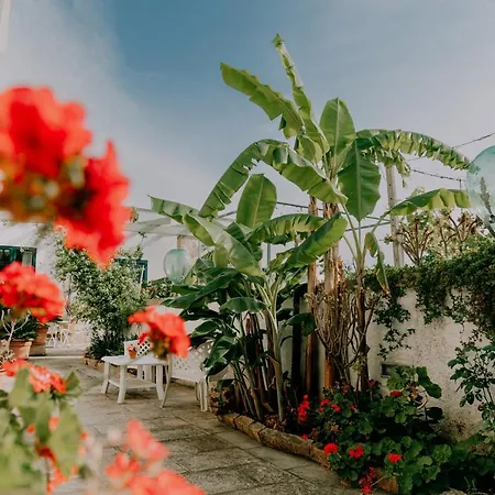 Masseria Il Sorriso Degli Ulivi - Dimora Di Charme Farm stay Gallipoli