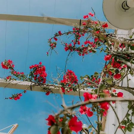 Masseria Il Sorriso Degli Ulivi - Dimora Di Charme Farm stay