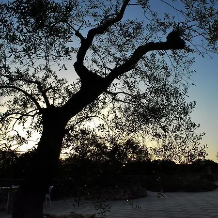 Masseria Il Sorriso Degli Ulivi - Dimora Di Charme