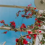 Masseria Il Sorriso Degli Ulivi - Dimora Di Charme Farm stay