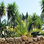 Masseria Il Sorriso Degli Ulivi - Dimora Di Charme Farm stay Gallipoli