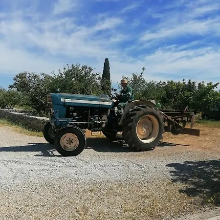 Alloggio per agriturismo Dimora Di Charme Agrichic Il Sorriso Degli Ulivi *