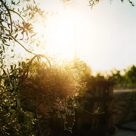 Masseria Il Sorriso Degli Ulivi - Dimora Di Charme Alloggio per agriturismo