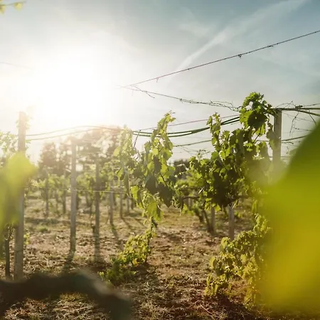 Masseria Il Sorriso Degli Ulivi - Dimora Di Charme