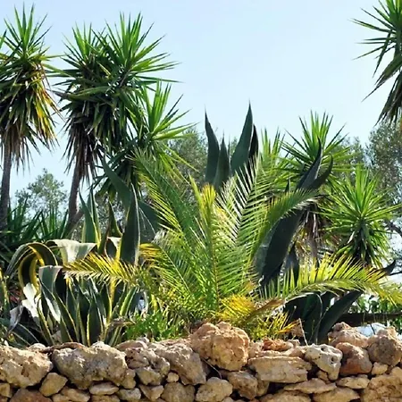 Masseria Il Sorriso Degli Ulivi - Dimora Di Charme مزرعة للإقامة غالّيبولي