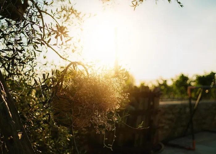 Masseria Il Sorriso Degli Ulivi - Dimora Di Charme Farm stay