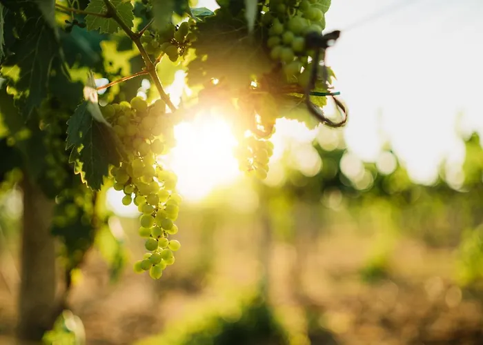 Masseria Il Sorriso Degli Ulivi - Dimora Di Charme *