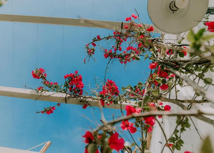Masseria Il Sorriso Degli Ulivi - Dimora Di Charme Vakantieboerderij