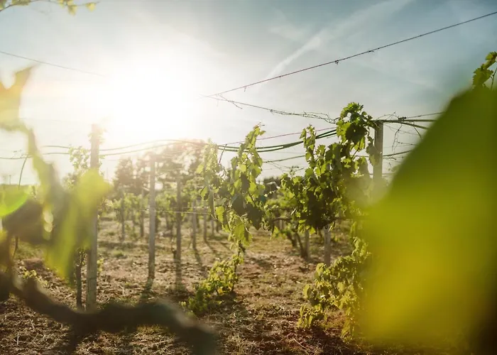 Masseria Il Sorriso Degli Ulivi - Dimora Di Charme