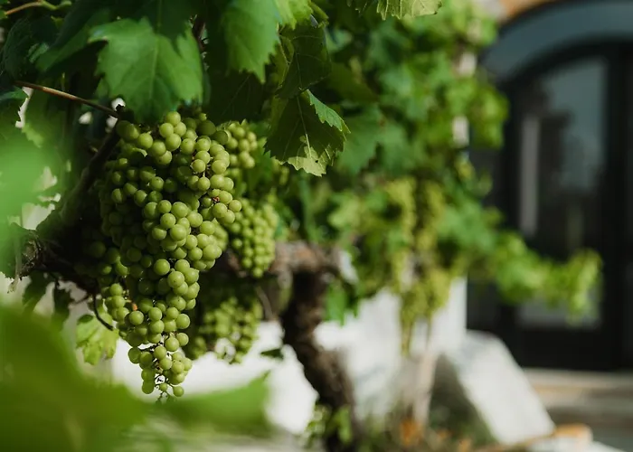 Masseria Il Sorriso Degli Ulivi - Dimora Di Charme Agroturismo *