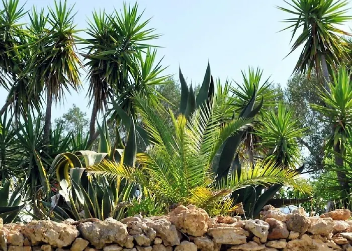 Masseria Il Sorriso Degli Ulivi - Dimora Di Charme Farm stay Gallipoli