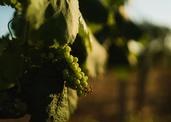 Masseria Il Sorriso Degli Ulivi - Dimora Di Charme *